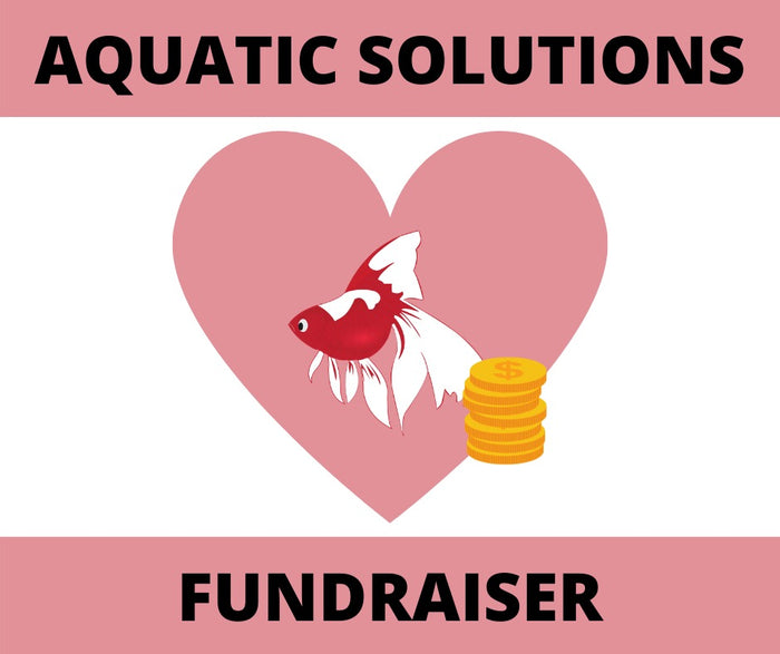 Aquatic Solutions fundraising for AIAA