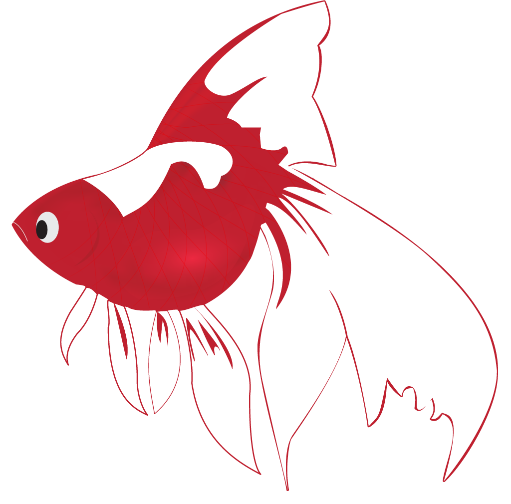 Video: WELCOME TO AQUATIC SOLUTIONS
