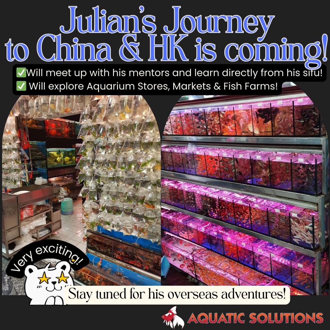 Julian is heading to China and Hong Kong
