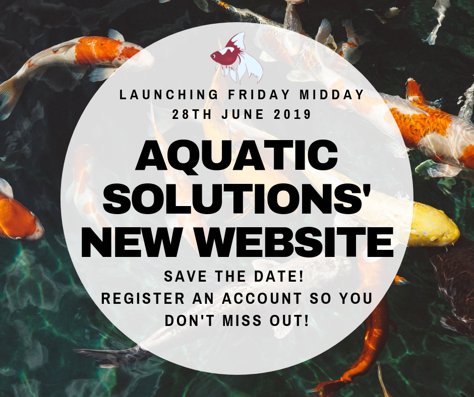 NEW WEBSITE!