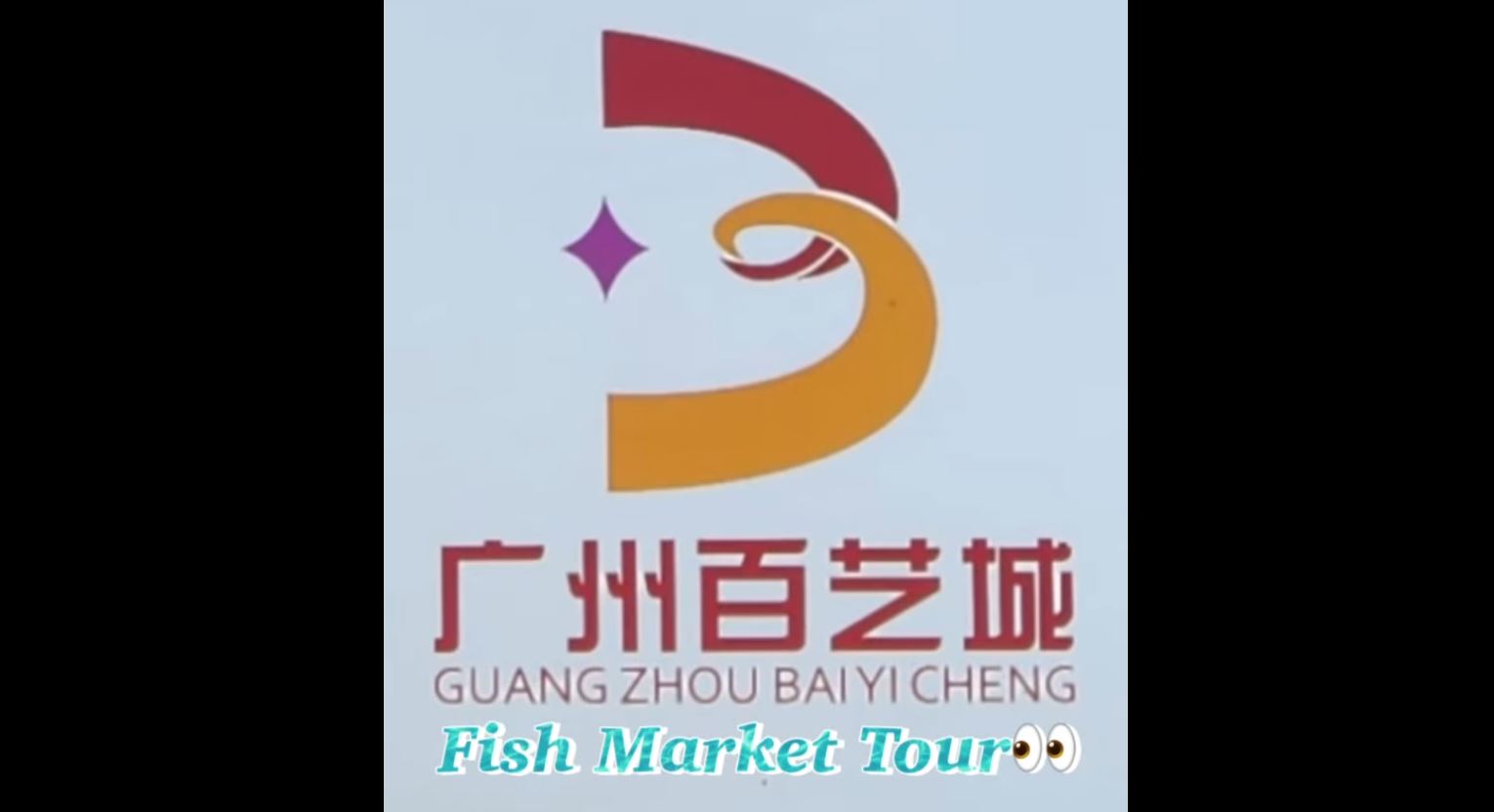 Guang Zhou Baiyi Cheng fish markets