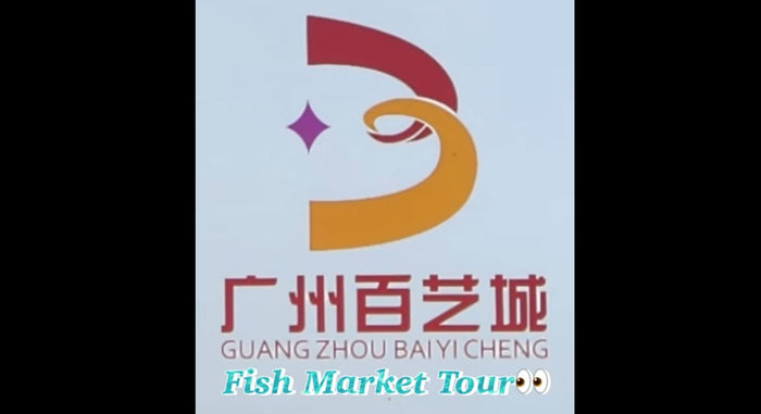 Guang Zhou Baiyi Cheng fish markets
