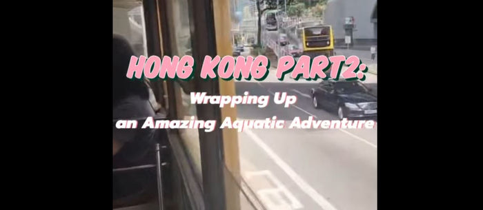 Hong Kong Part 2 and Wrap-up of an Amazing Aquatic Adventure