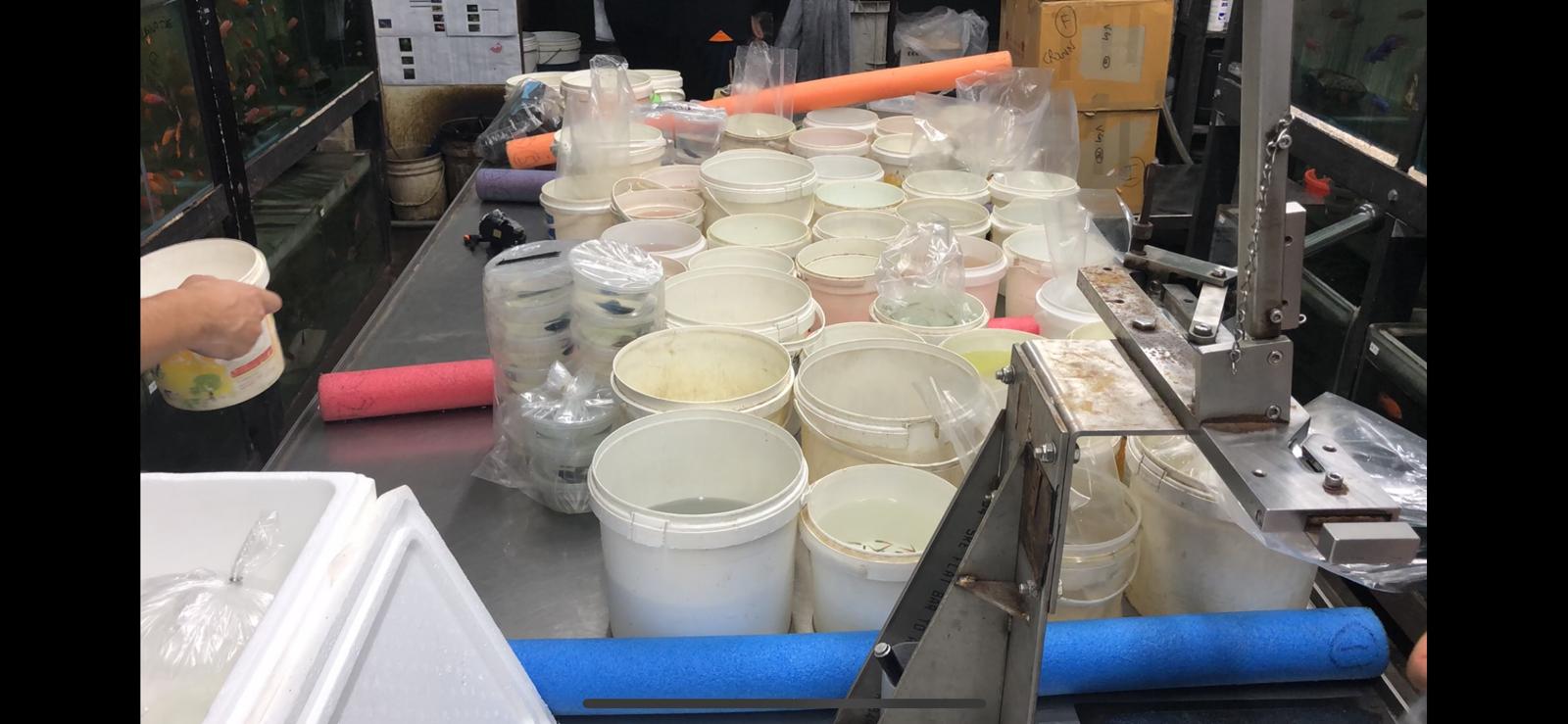 A DAY IN THE LIFE AT AQUATIC SOLUTIONS