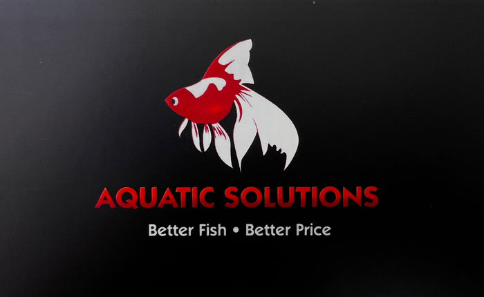 THE HISTORY OF AQUATIC SOLUTIONS