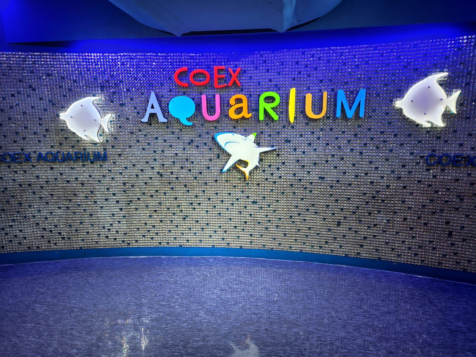 3RD VISIT IN SOUTH KOREA - COEX Aquarium🐟