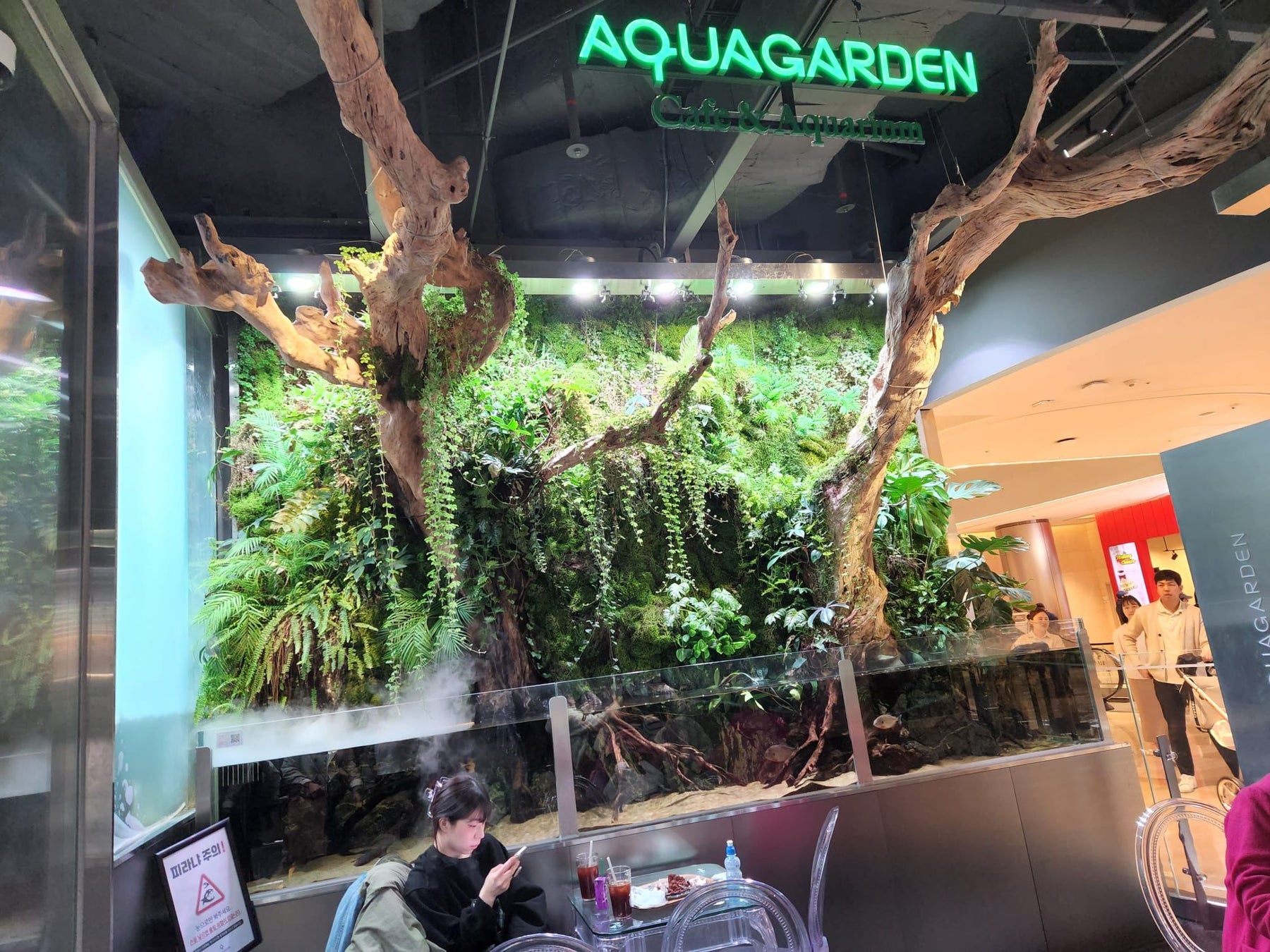 FIRST DAY OF TRIP TO SEOUL, SOUTH KOREA - AQUAGARDEN AND AQUARIUM