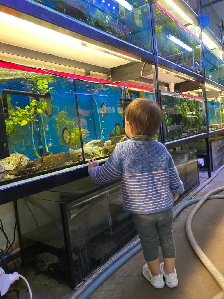 Booming Aquariums... Finally!