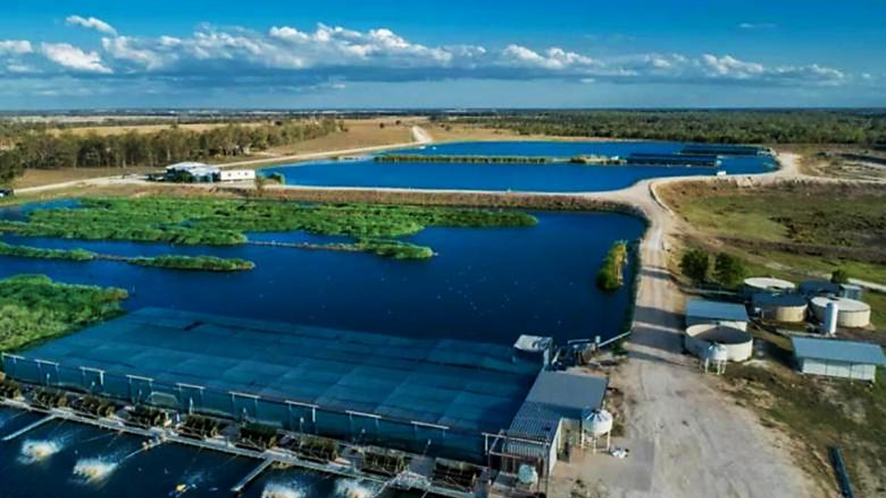 SUPPORTING OUR LOCAL AUSTRALIAN FISH FARMS