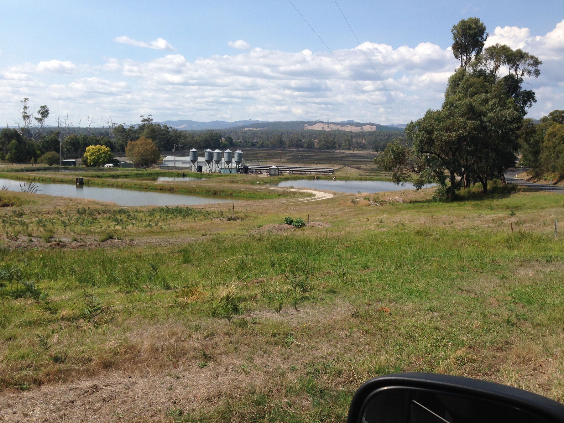 BOOLARRA FISH FARM WINDING UP PRODUCTION