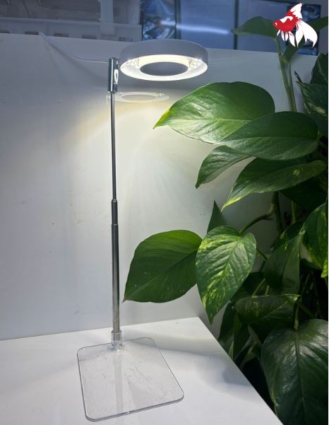 Led USB Plant light