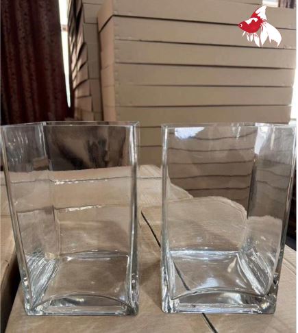 Glass Vase Bulk 8