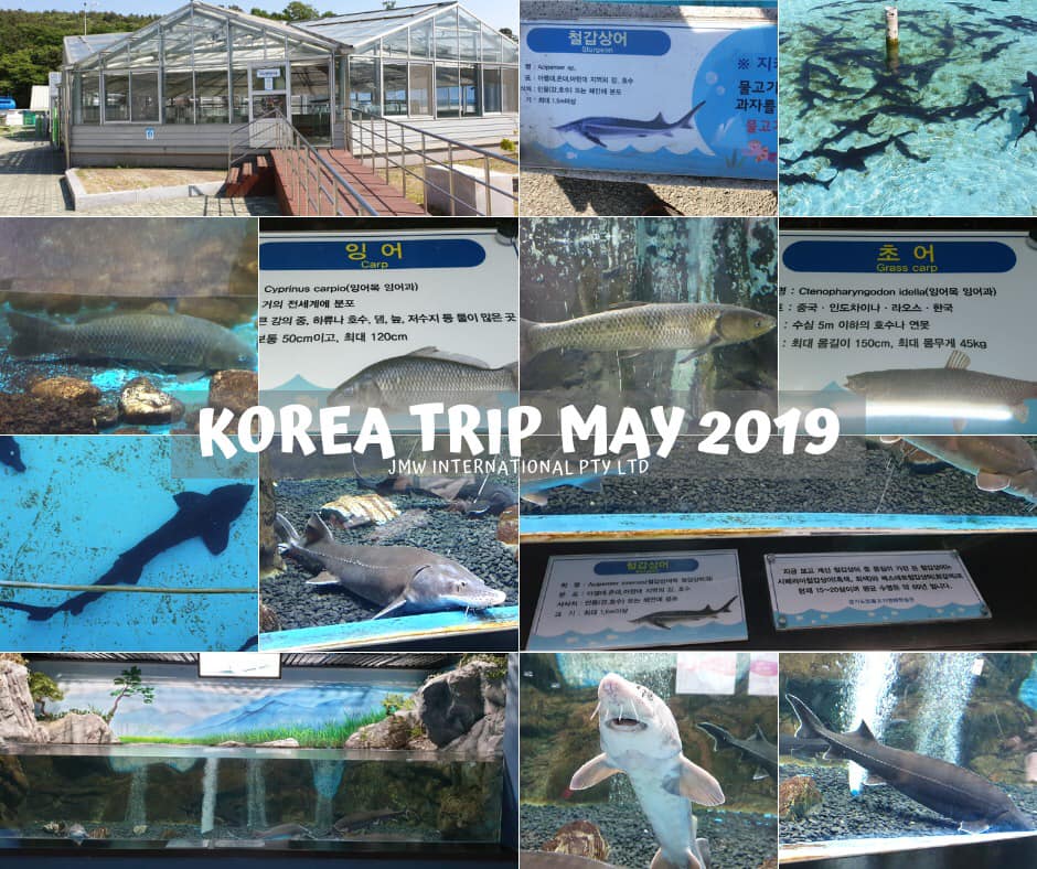 STURGEON BREEDING AND RESEARCH CENTRE - KOREA 2019