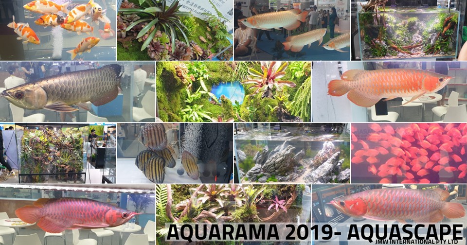 AQUARAMA 2019