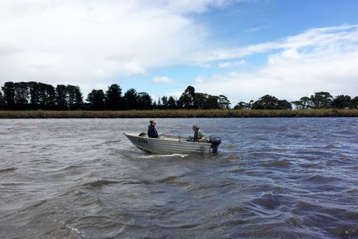 Exotic Fish In Sydney Waterways