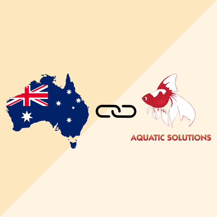 Time goes by too fast; the future for Aquatic Solutions.