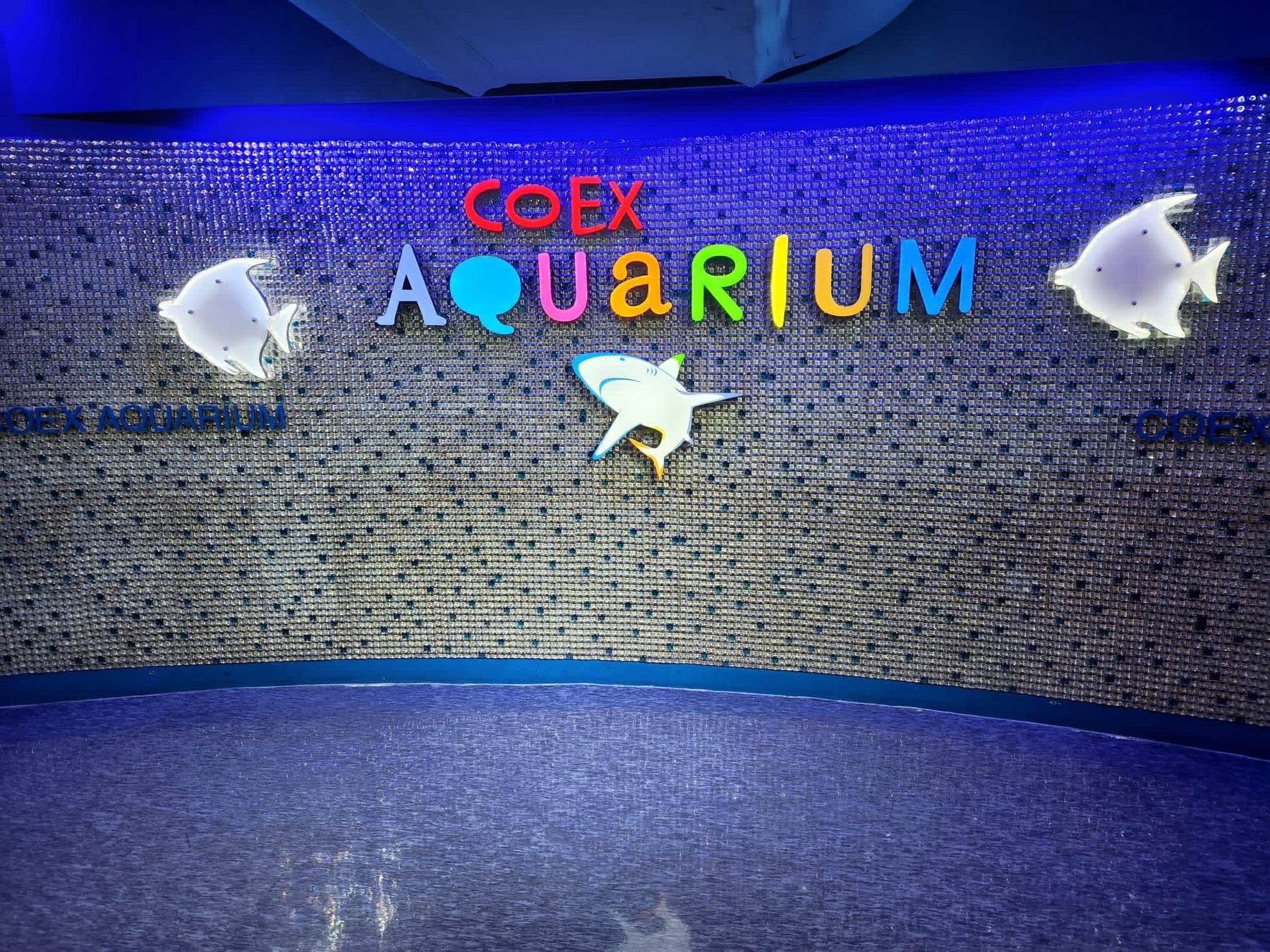 3RD VISIT IN SOUTH KOREA COEX Aquarium🐟 — Aquatic Solutions Australia