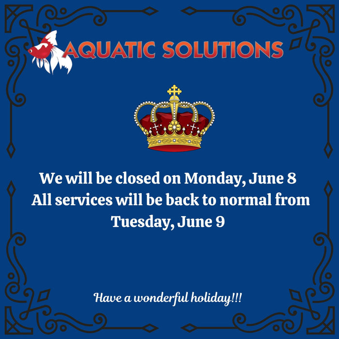 KING'S BIRTHDAY TRADING HOURS
