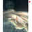 Seconds Axolotl - Albino (Local) L-15 (2 ONLY!)