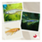 Assorted Danio - Longfin (Local) M 3-4