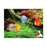 Discus - Assorted Thailand ML-7
