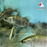 Barramundi (Local) Bulk 30+ ML-6