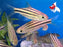 Lined Barb L 6-7 (Nice!)