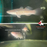 Snakehead Gudgeon (Local) ML-15 (1 ONLY!)