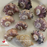 Hermit Crab - Spare Shell (Local) XXL (Limited Numbers!)