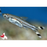 Scissortail Rasbora ML-6