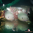 Axolotl - White (Local) XXL-22 (1 ONLY!)