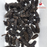 Banksia Cones (pack of 50)