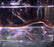 Eel - Longfin (Local) SS-6 (1 ONLY!)
