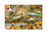 Feeder Guppy (Local) M-2.5