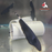 Ghost Knifefish - Black XL-12 (Show!) (Limited Numbers!)