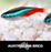 Neon Tetra (Local) XXL-3 (Show!) (Limited Numbers!)