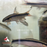 Flying Fox - Red ML-7